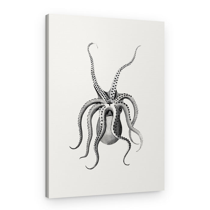 Octupos – Canvas Print