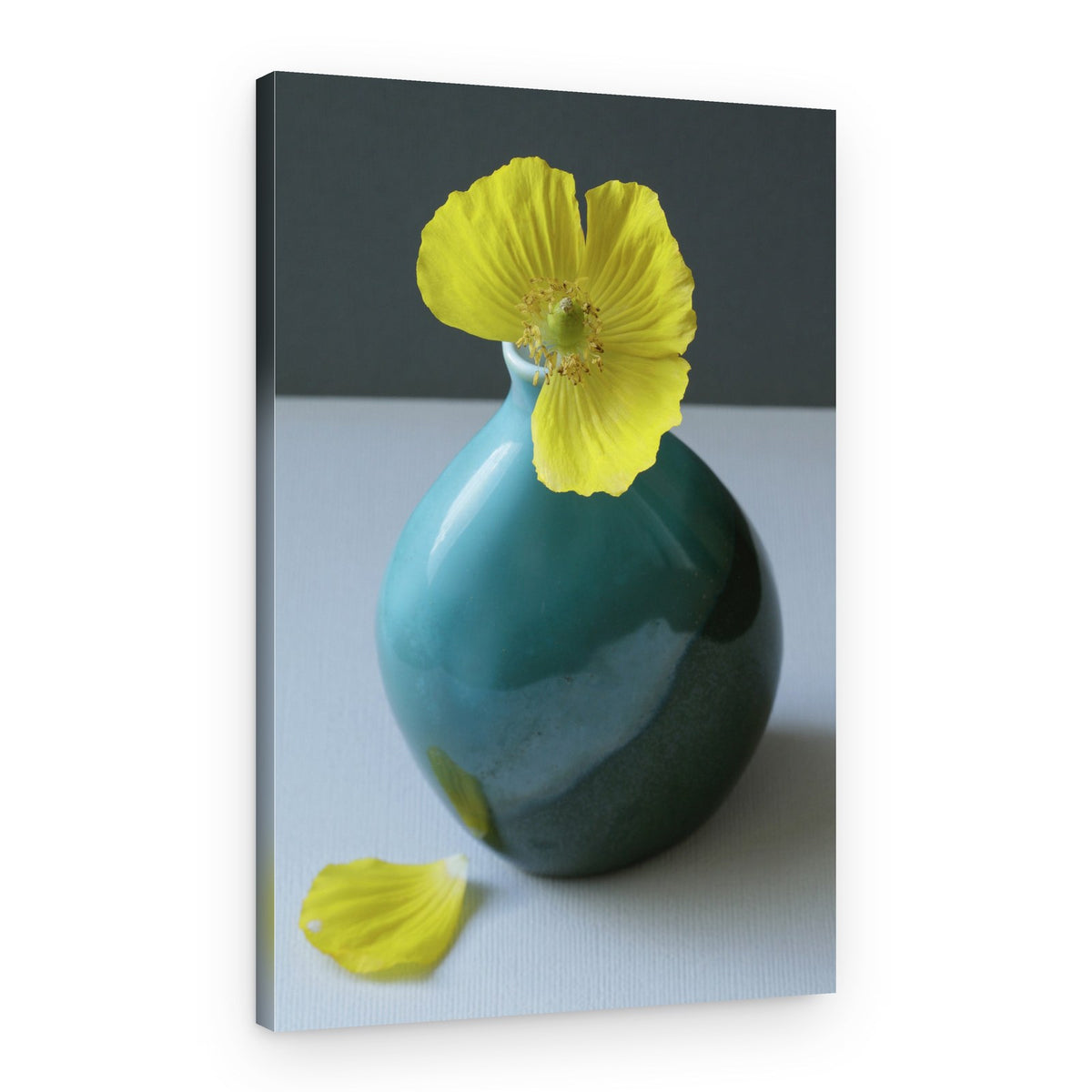 Yellow Poppy in Teal Vase – Canvas Print