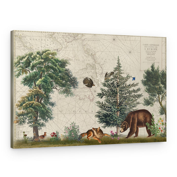 Vintage Map Forest Wildlife – Canvas Print