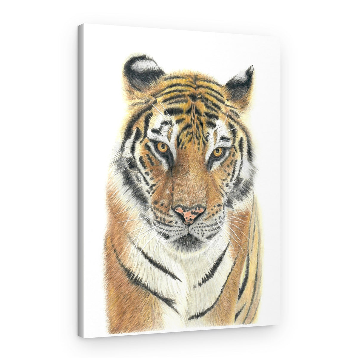 Majestic Tiger Portrait – Canvas Print