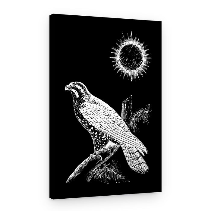 Solar Eclipse Falcon – Canvas Print