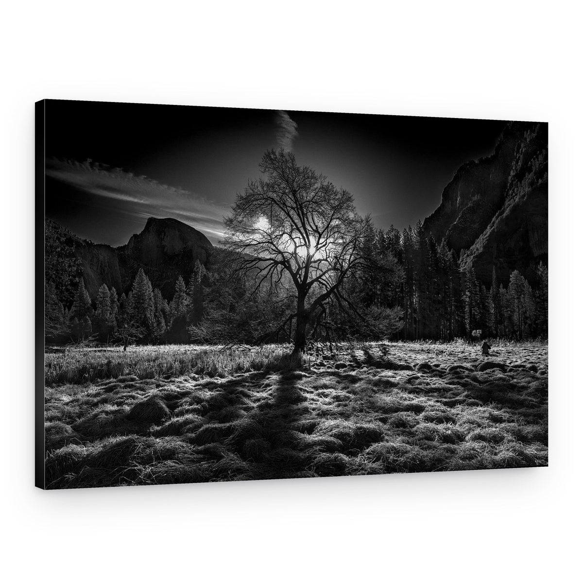 Half Dome Winter Light – Canvas Print