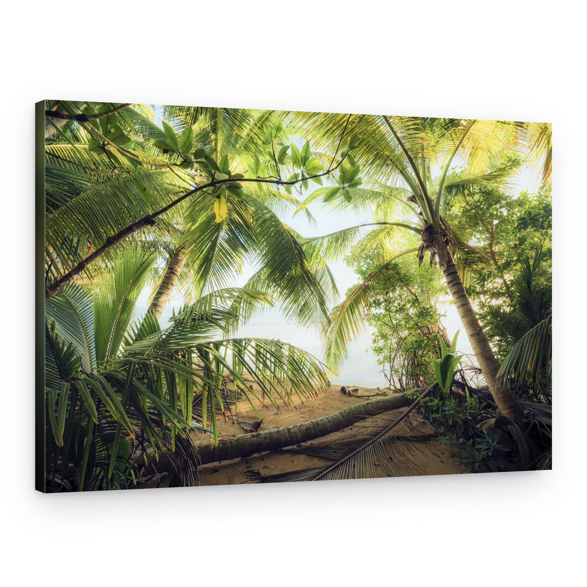 Pirates Nest – Canvas Print