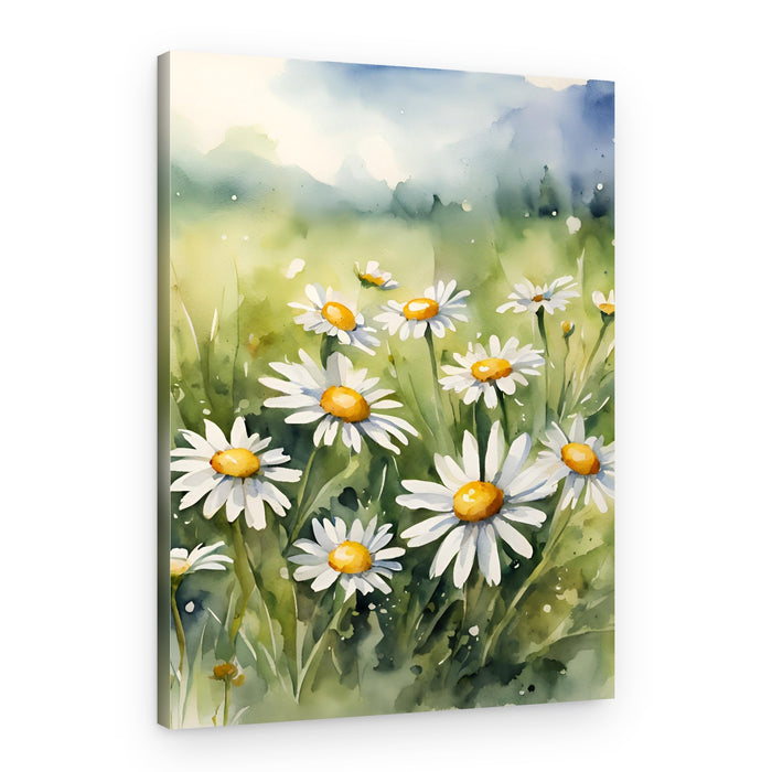 Blooming Daisy Field – Canvas Print