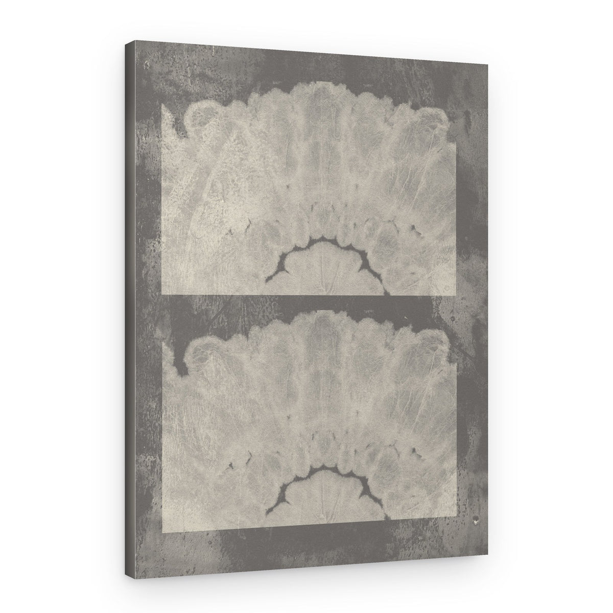 Mirrored Organic Grey – Canvas Print