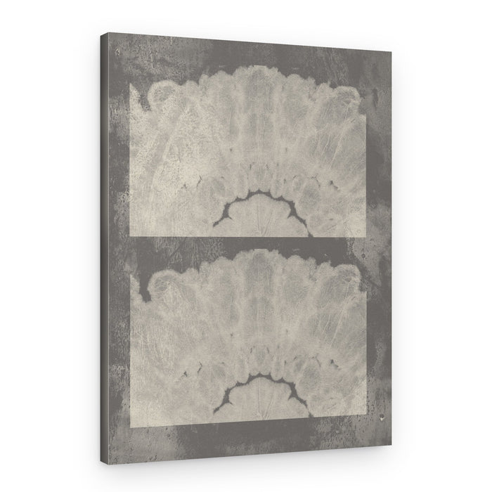 Mirrored Organic Grey – Canvas Print