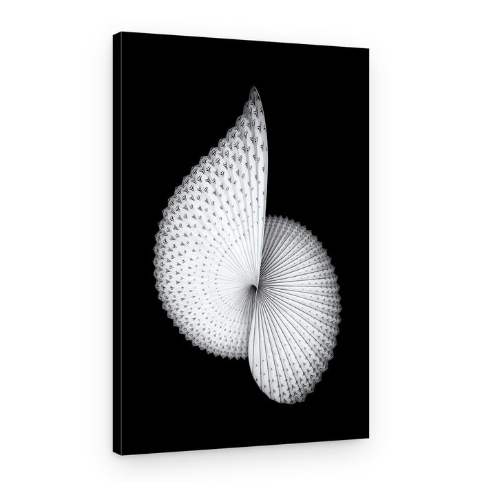 Dynamic Textured Spiral – Canvas Print
