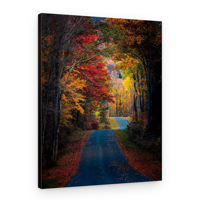 Vibrant Autumn Road – Canvas Print