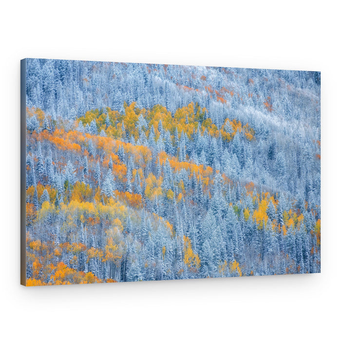Snowy Autumn Forest – Canvas Print