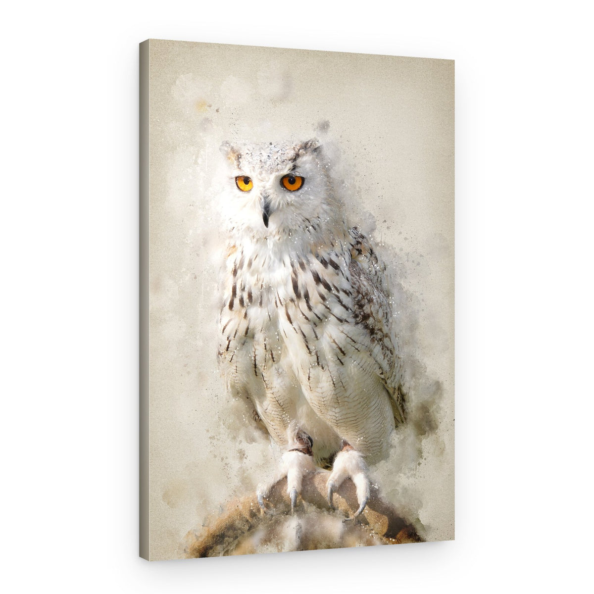 Majestic Snowy Owl Gaze – Canvas Print