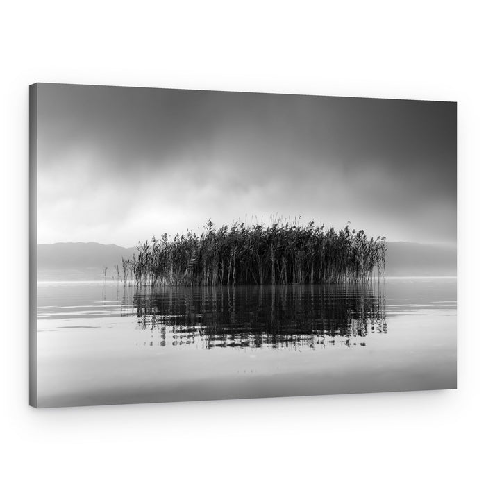 Misty Reed Reflections – Canvas Print