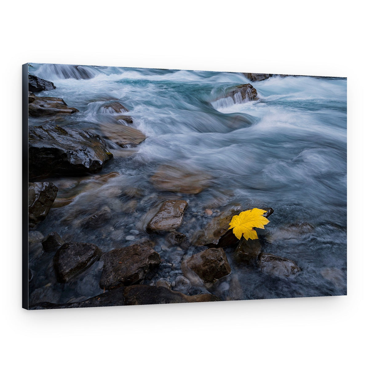 Yellow Leaf River Flow – Canvas Print