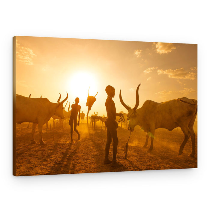 African Herding Sunset – Canvas Print