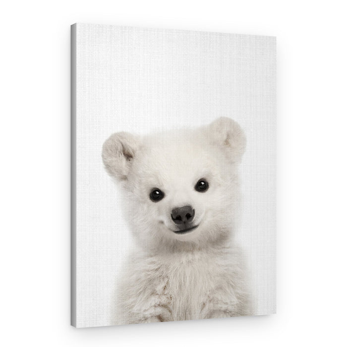 Adorable Polar Bear Cub – Canvas Print
