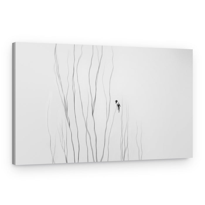 Zen Bird on Branch – Canvas Print