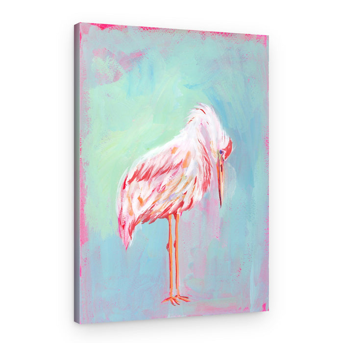 Gentle Pink Ibis – Canvas Print