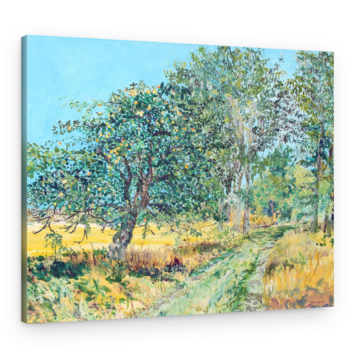 Sunny Orchard Path – Canvas Print