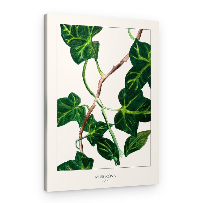 Green Ivy Botanical – Canvas Print