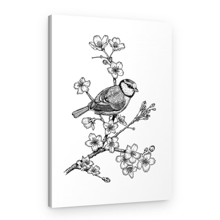 Blue Tit Blossom Drawing – Canvas Print