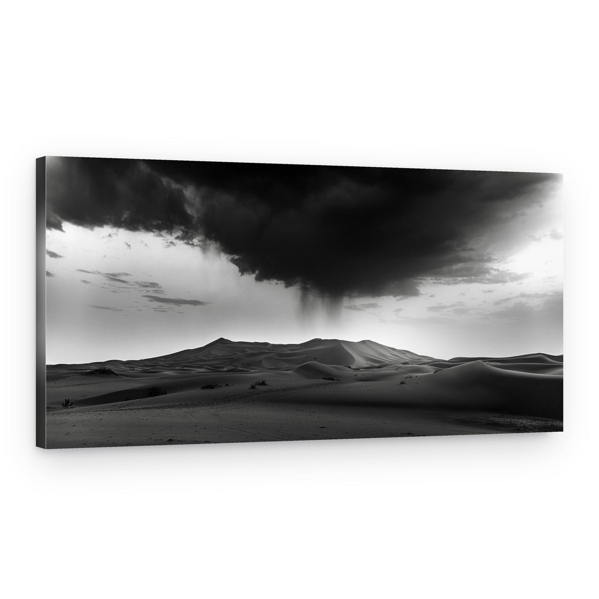 Desert Rainstorm – Canvas Print