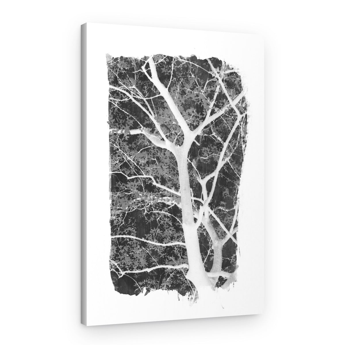 Stark Inverted Tree – Canvas Print