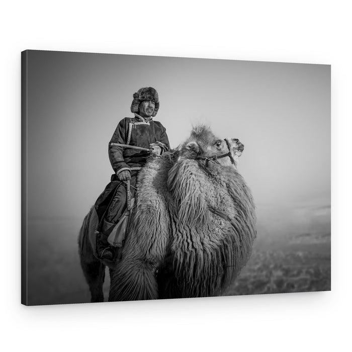 Winter Camel Rider – Canvas Print