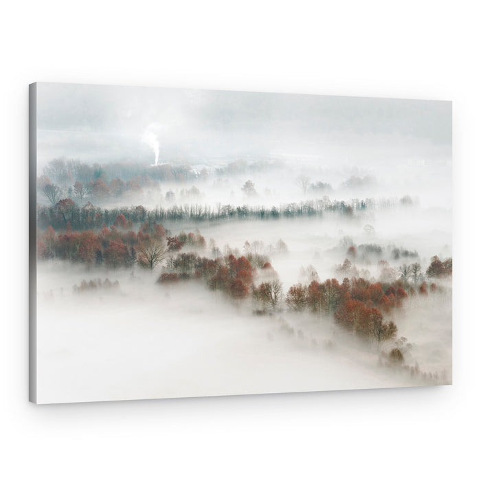 Misty Forest Landscape – Canvas Print