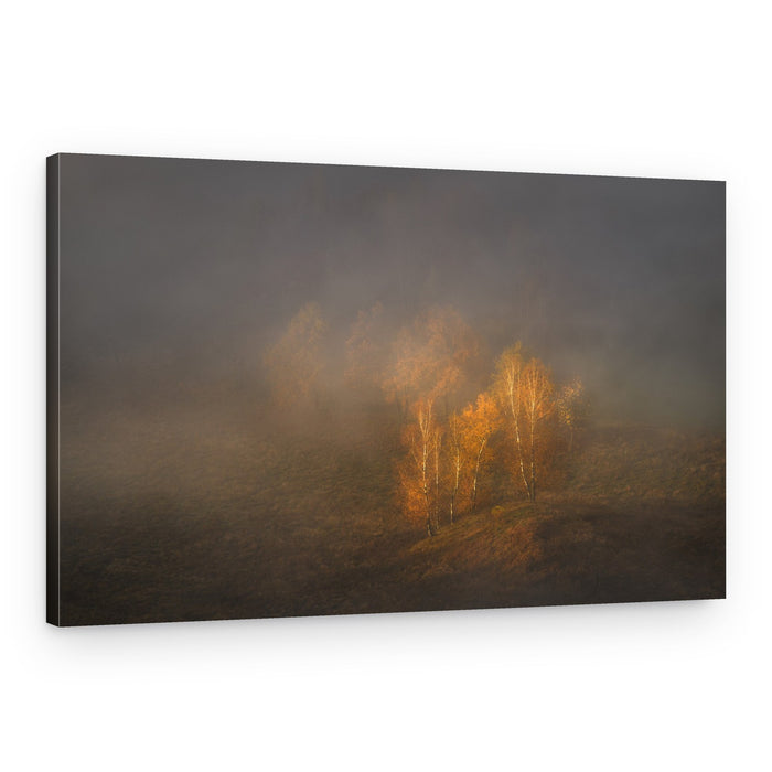 Golden Birch Trees in Fog – Canvas Print