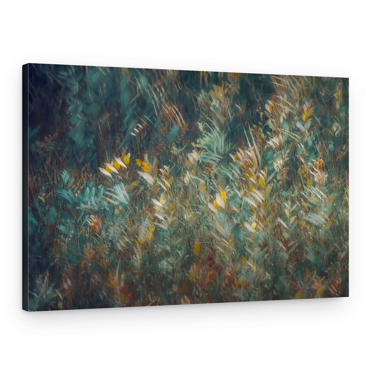 Late summer – Canvas Print
