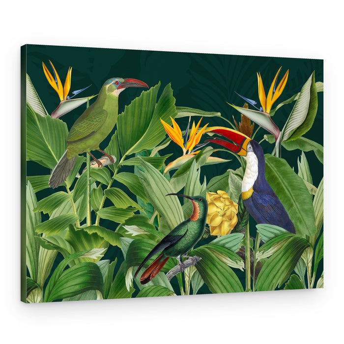 Vibrant Jungle Birds – Canvas Print