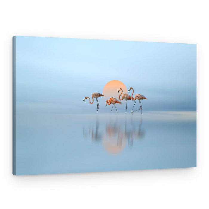 Pink Flamingos Golden Sunset – Canvas Print