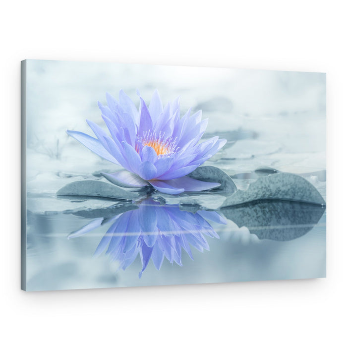 Serene Purple Lotus Reflection – Canvas Print