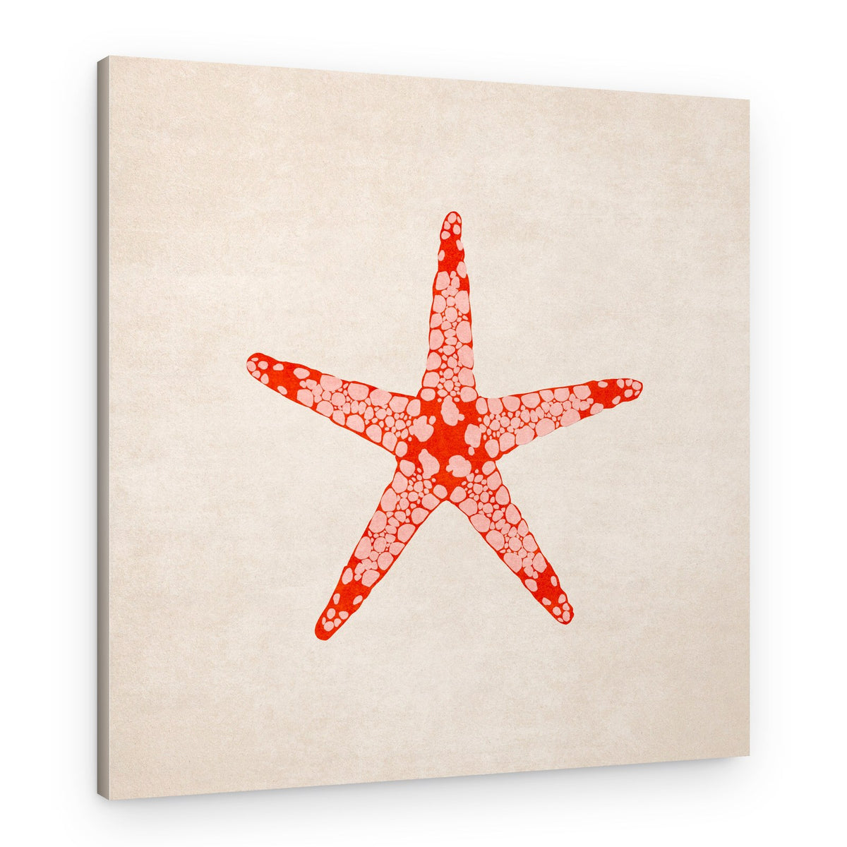 Celestial Starfish – Canvas Print