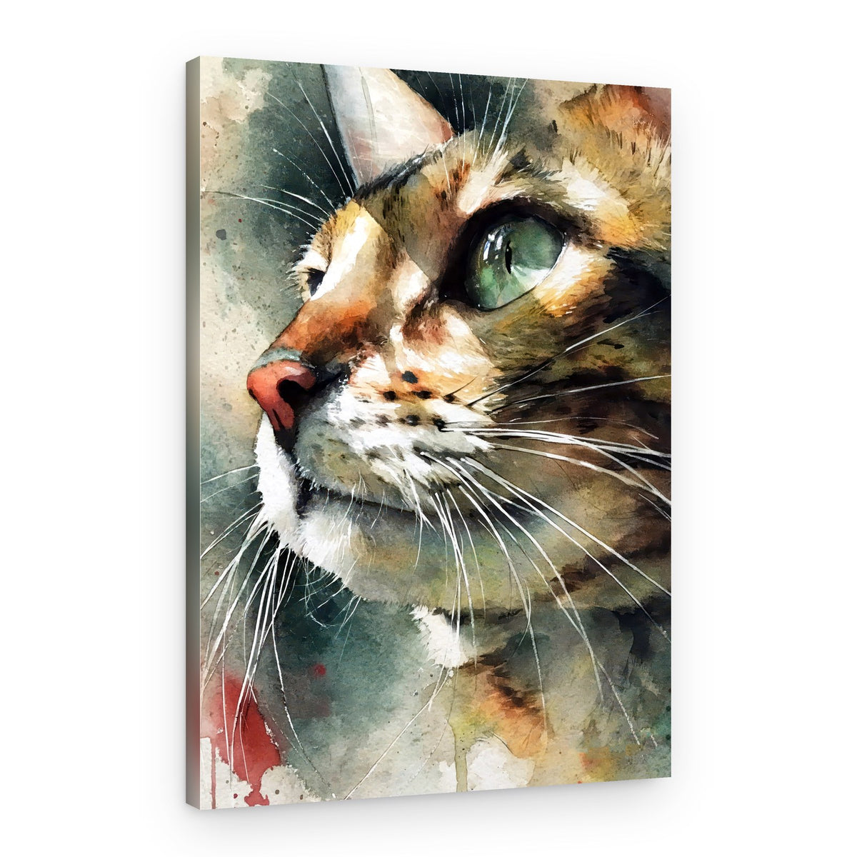 Watercolor Tabby Cat – Canvas Print