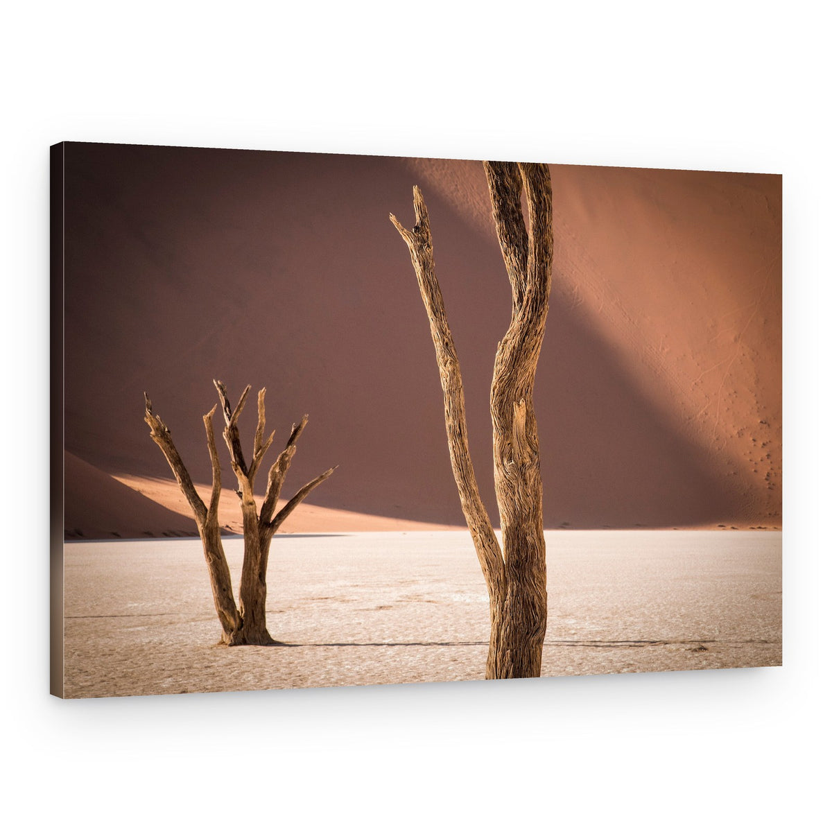 Stark Desert Trees – Canvas Print