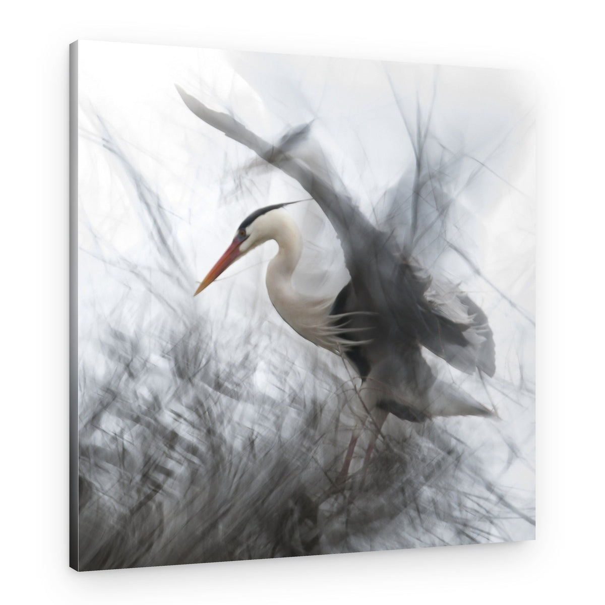 Ethereal Heron Flight – Canvas Print