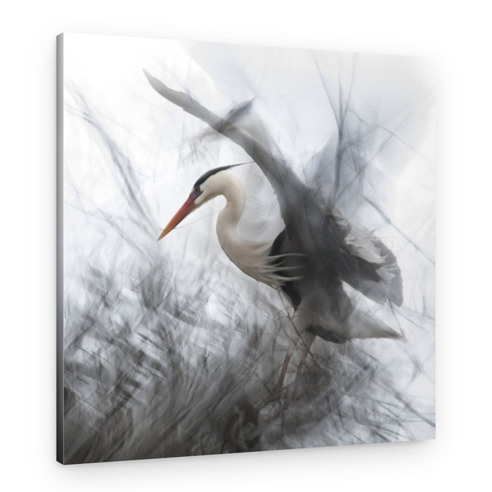 Ethereal Heron Flight – Canvas Print