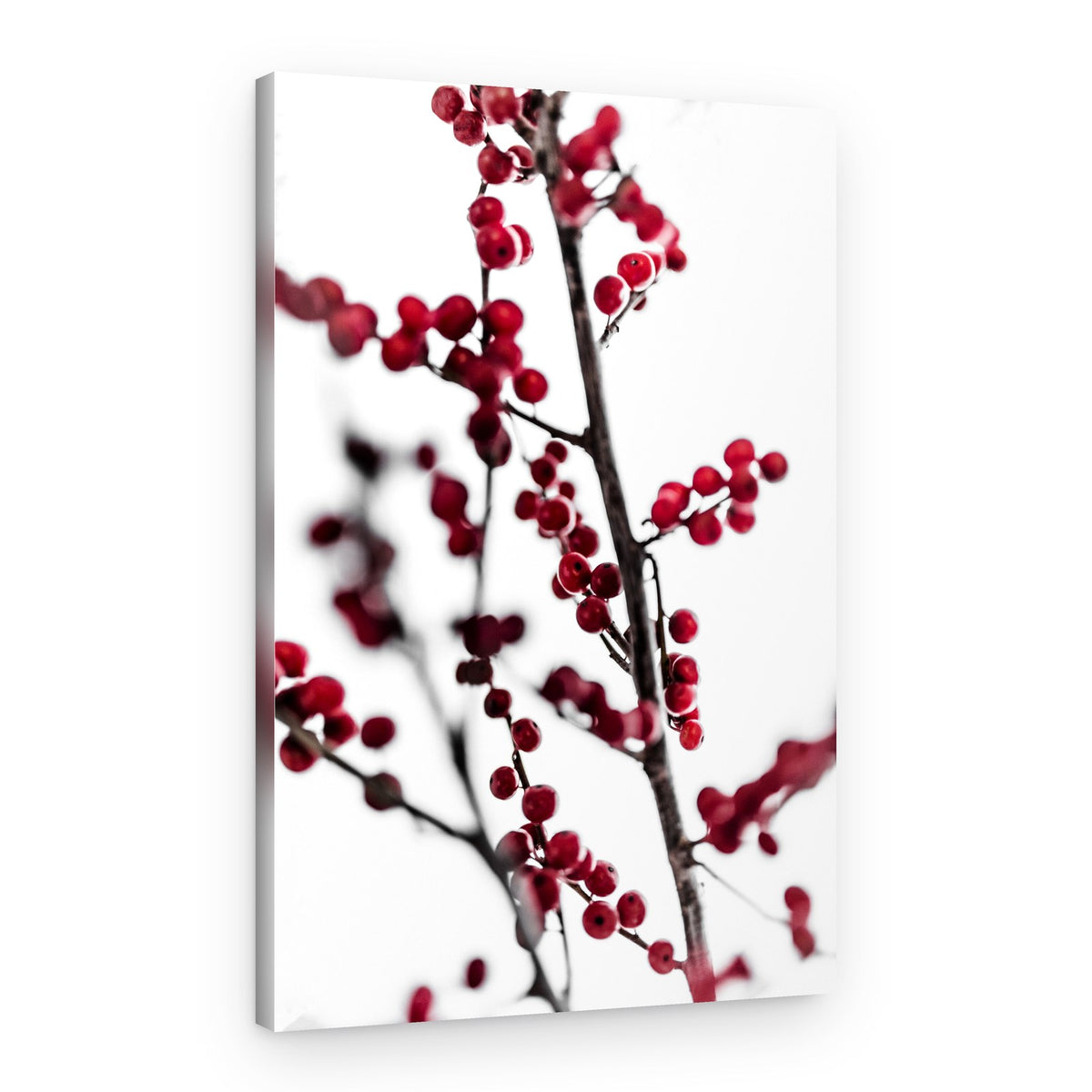 Red Berries 1 – Canvas Print