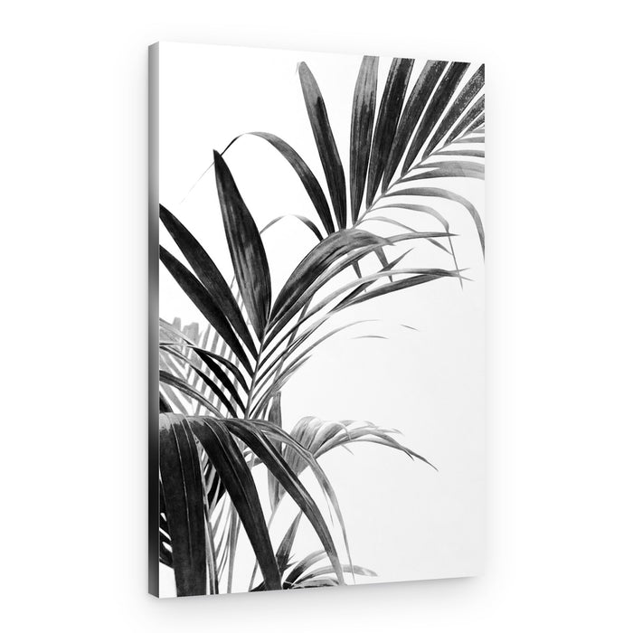 Monochrome Palm Leaves – Canvas Print