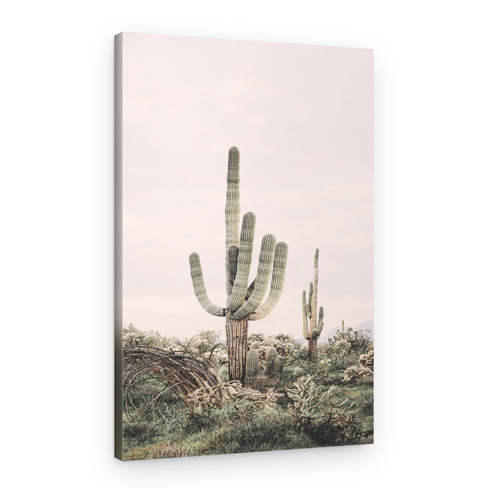 Pink Saguaro – Canvas Print