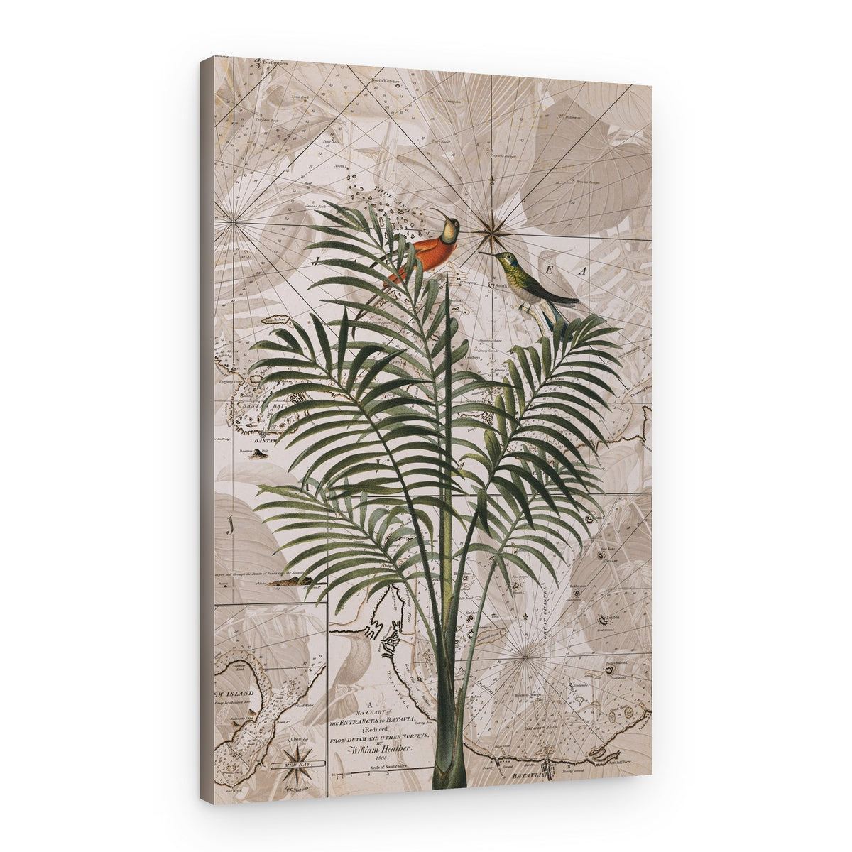 Tropical Birds on Vintage Map – Canvas Print
