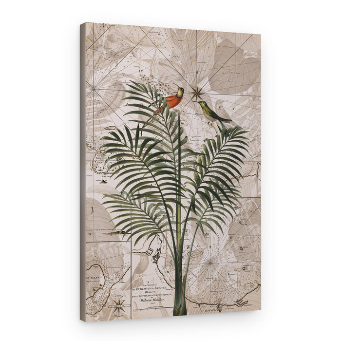 Tropical Birds on Vintage Map – Canvas Print