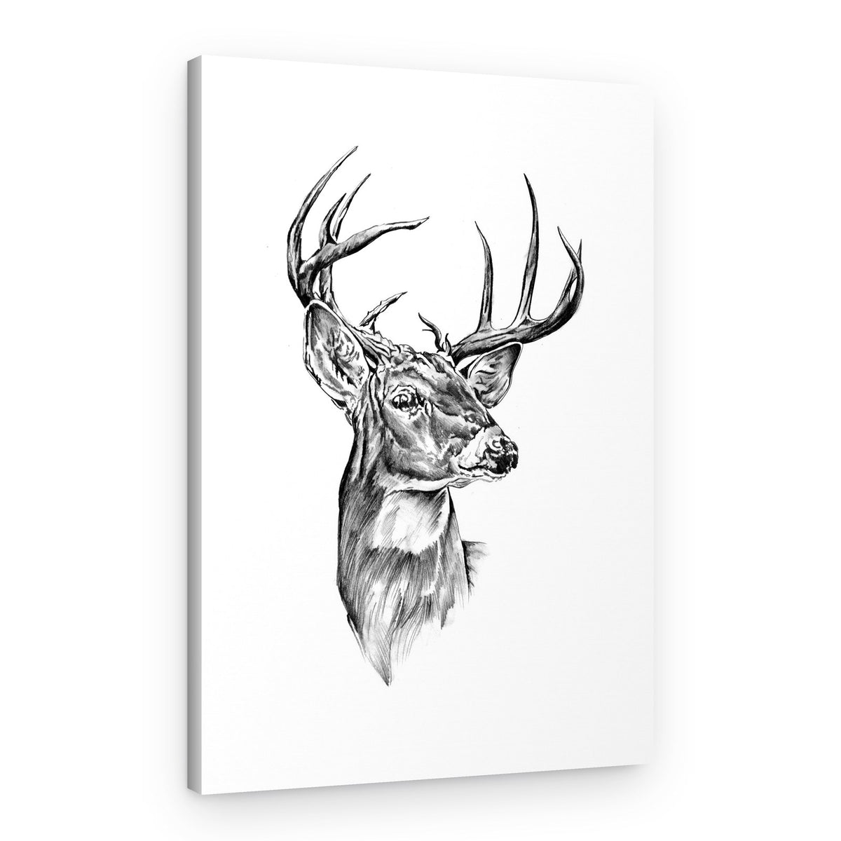 Noble Buck Portrait – Canvas Print