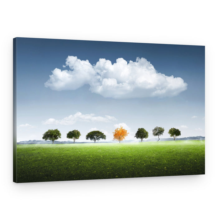 Seven Tree – Canvas Print