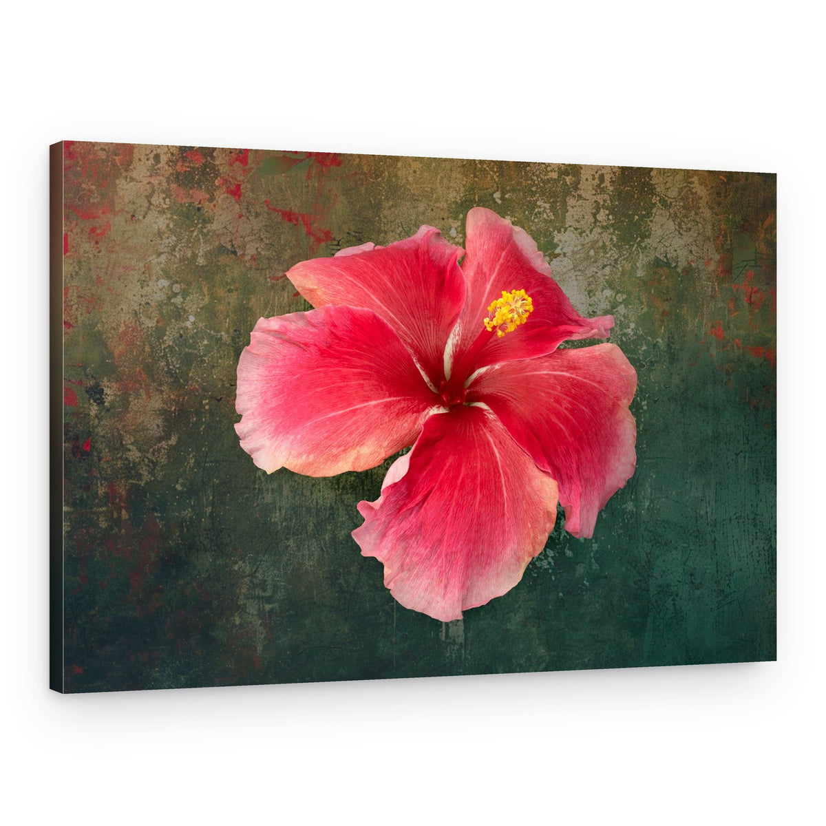 Tropical Hibiscus Bloom – Canvas Print