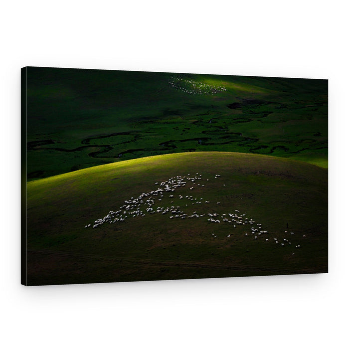 Sheep Grazing Green Hills – Canvas Print