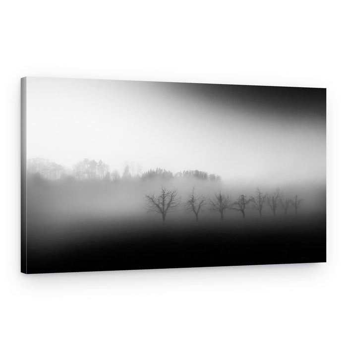 Bare Trees In Fog – Canvas Print