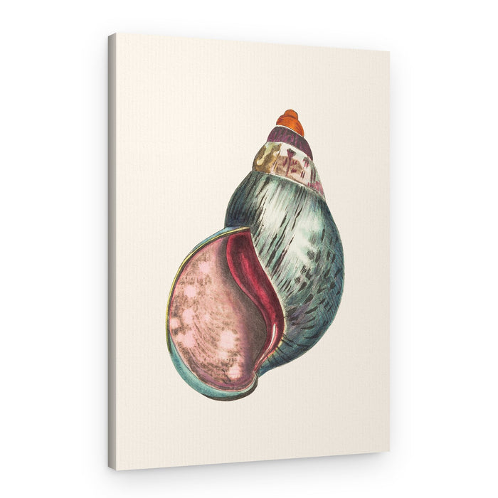 Agate Bulla – Canvas Print