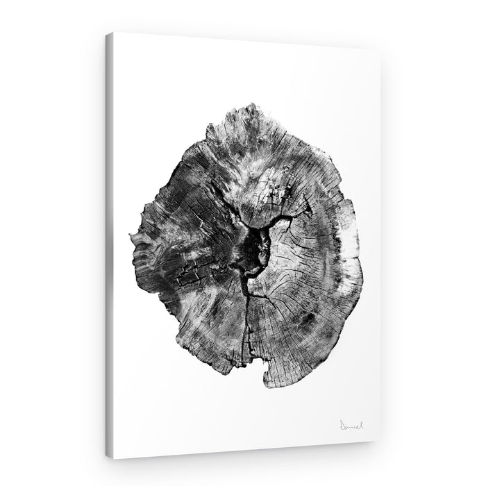 Oak Log – Canvas Print