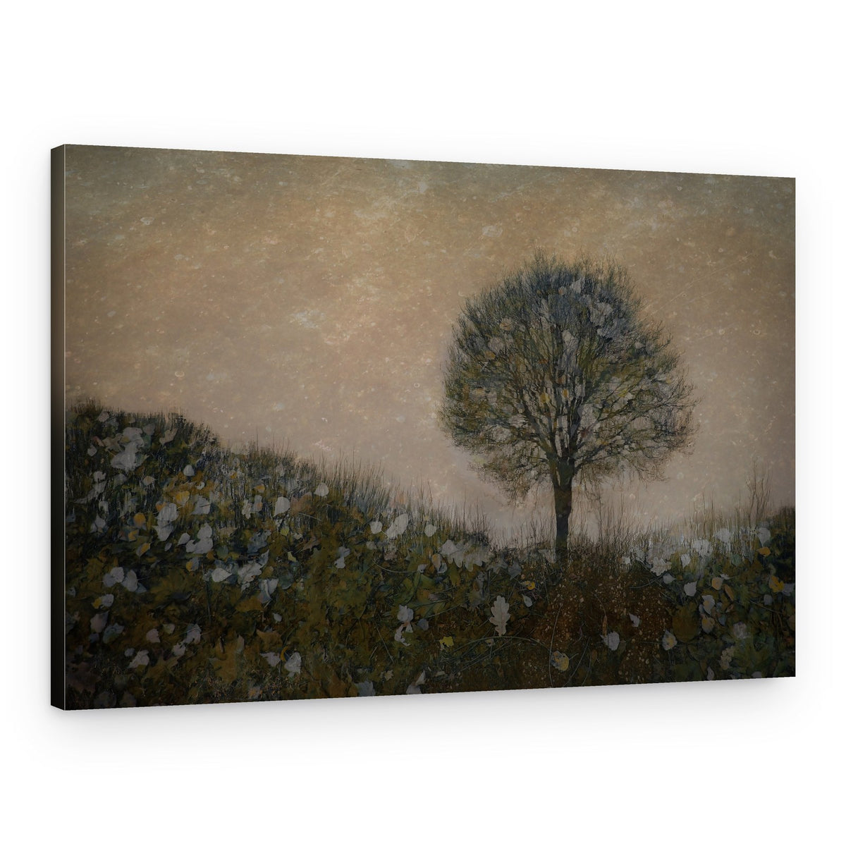 Lonely – Canvas Print